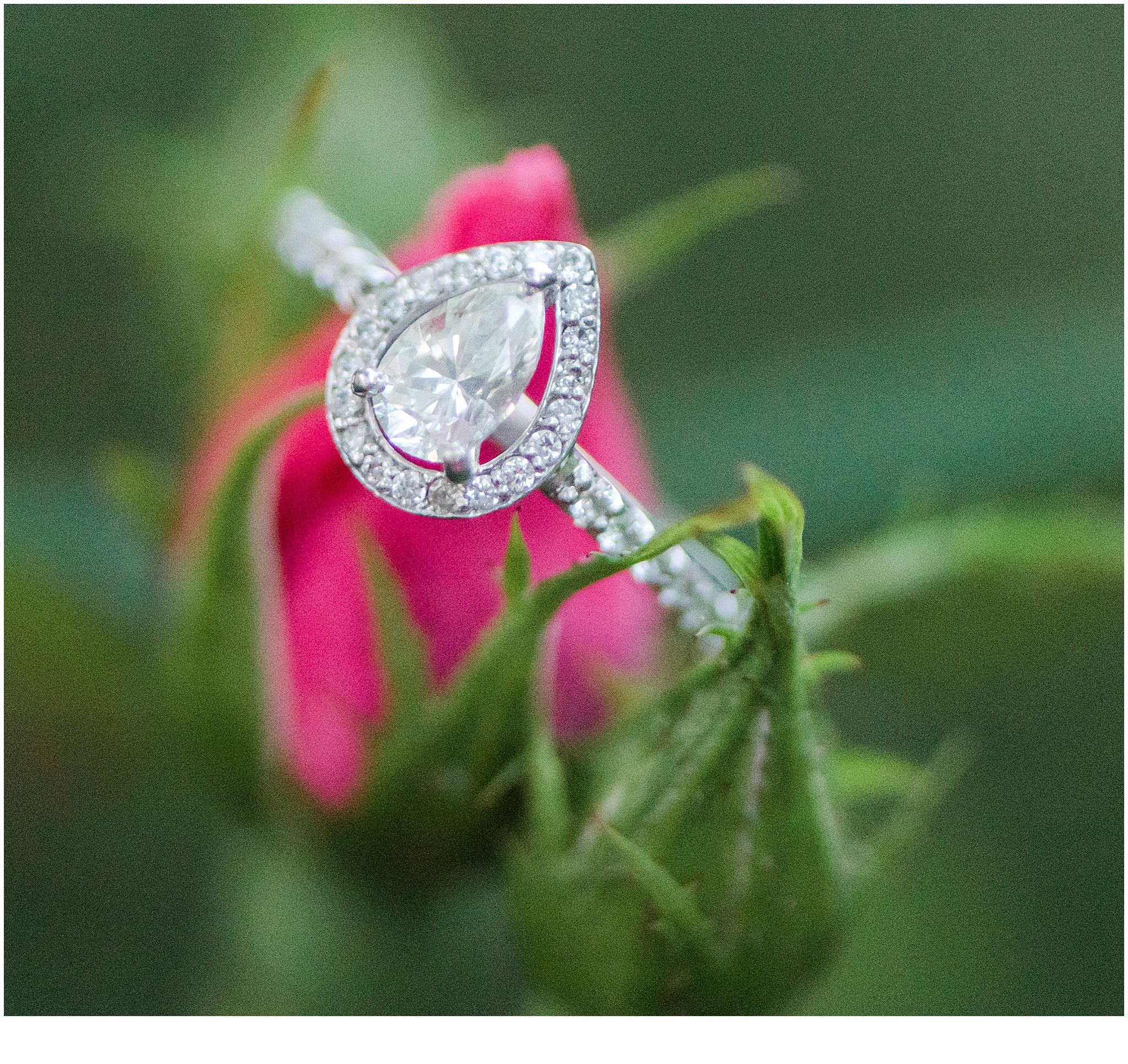 Pear-shaped diamond ring. Neely Roberts Photography.