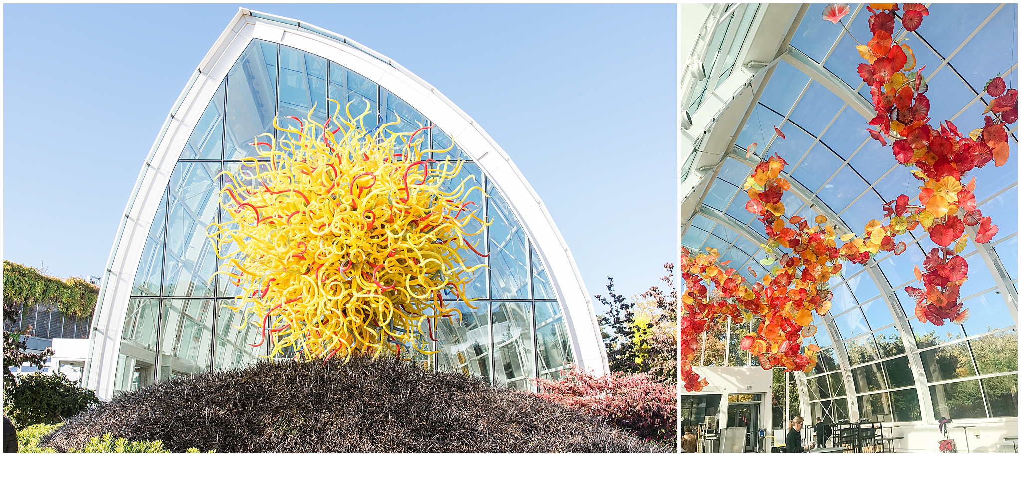 Chihuly Garden & Glass Exhibit, Seattle, WA