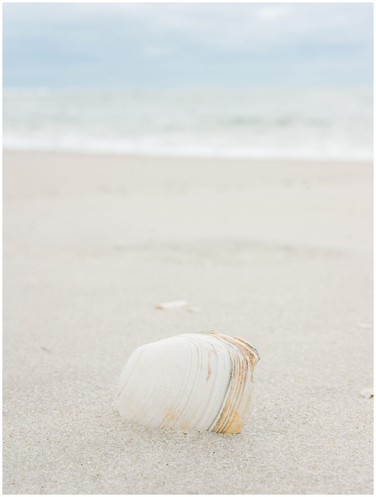 Luxury destination photo sessions in Cape May, NJ